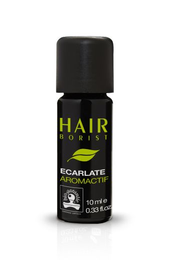 Hairborist Suisse : Écarlate