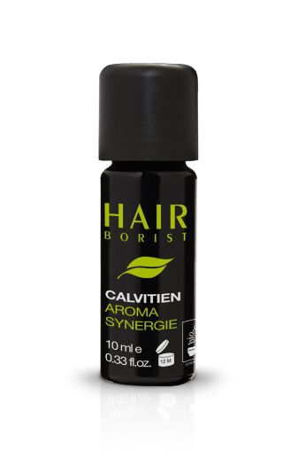 Hairborist Suisse : Calvitien