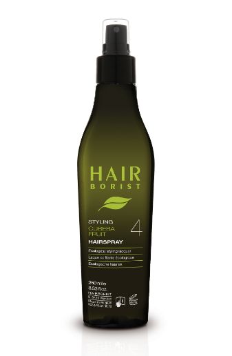 Hairborist Suisse : Hairspray