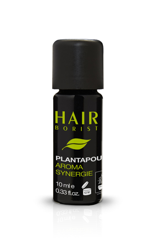 Hairborist Suisse : Plantapoux
